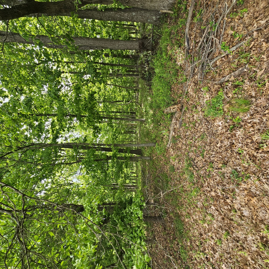 4147 Richview Road, Mt Vernon, IL