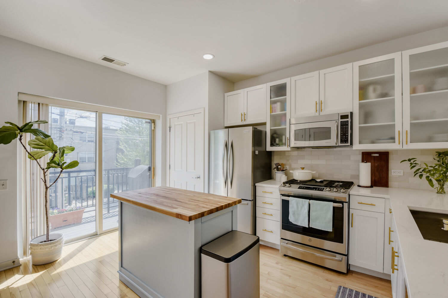 1219 W Grenshaw Street, Chicago, IL