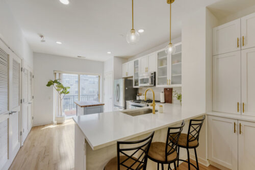 1219 W Grenshaw Street, Chicago, IL