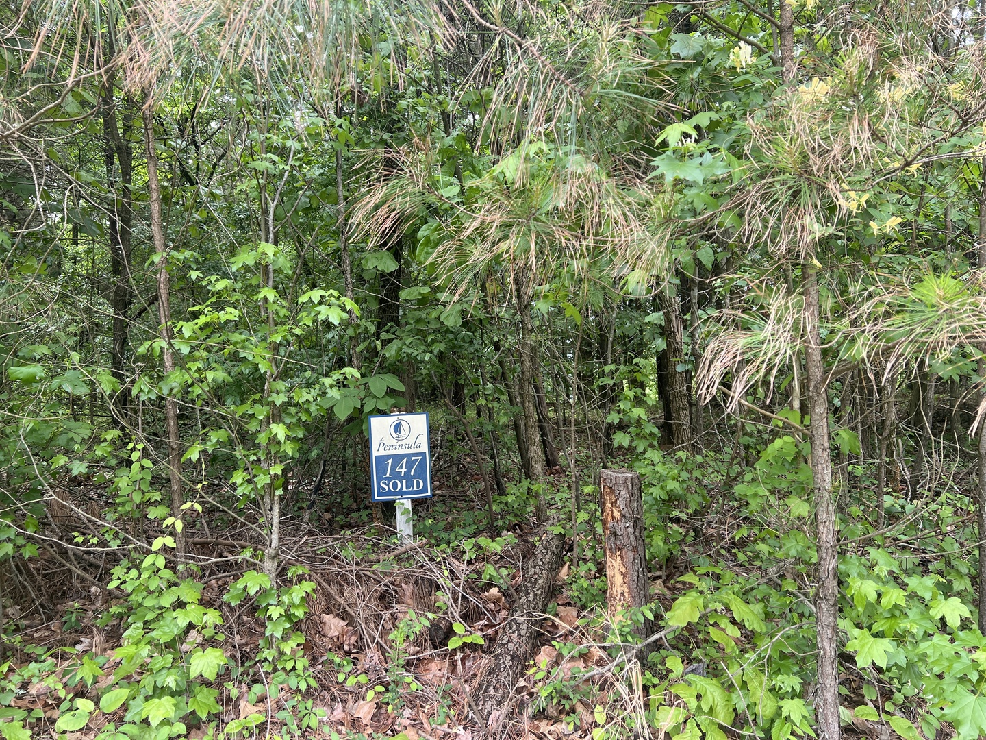 Lot 147 Parrish Ridge, Goreville, IL