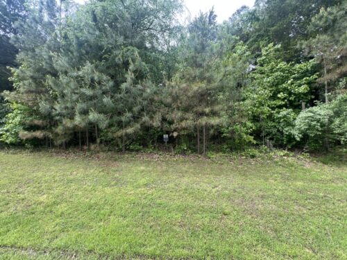 Lot 147 Parrish Ridge, Goreville, IL