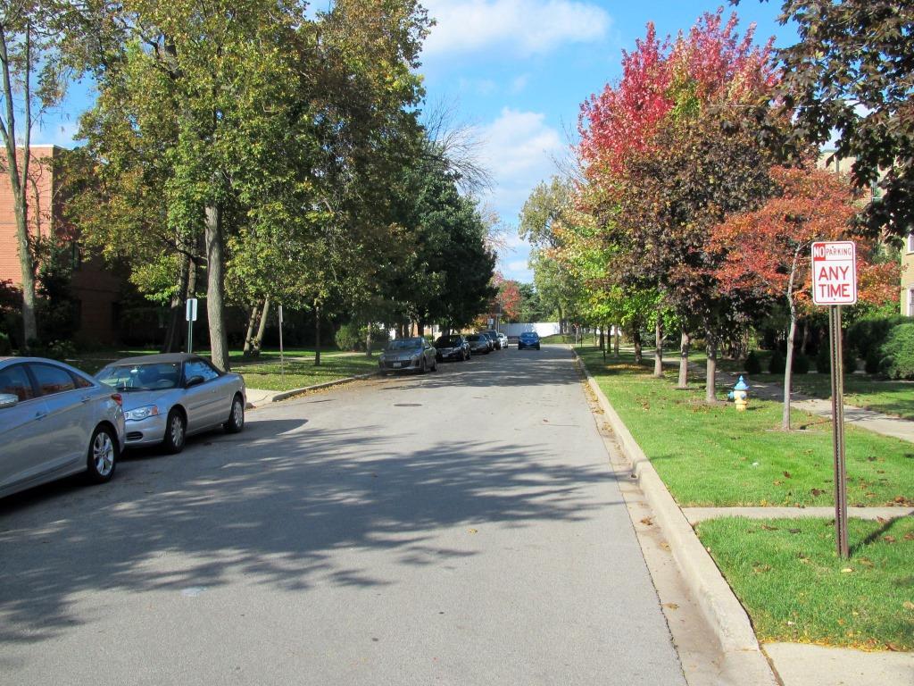 13 N CLIFTON Avenue #202, Park Ridge, IL