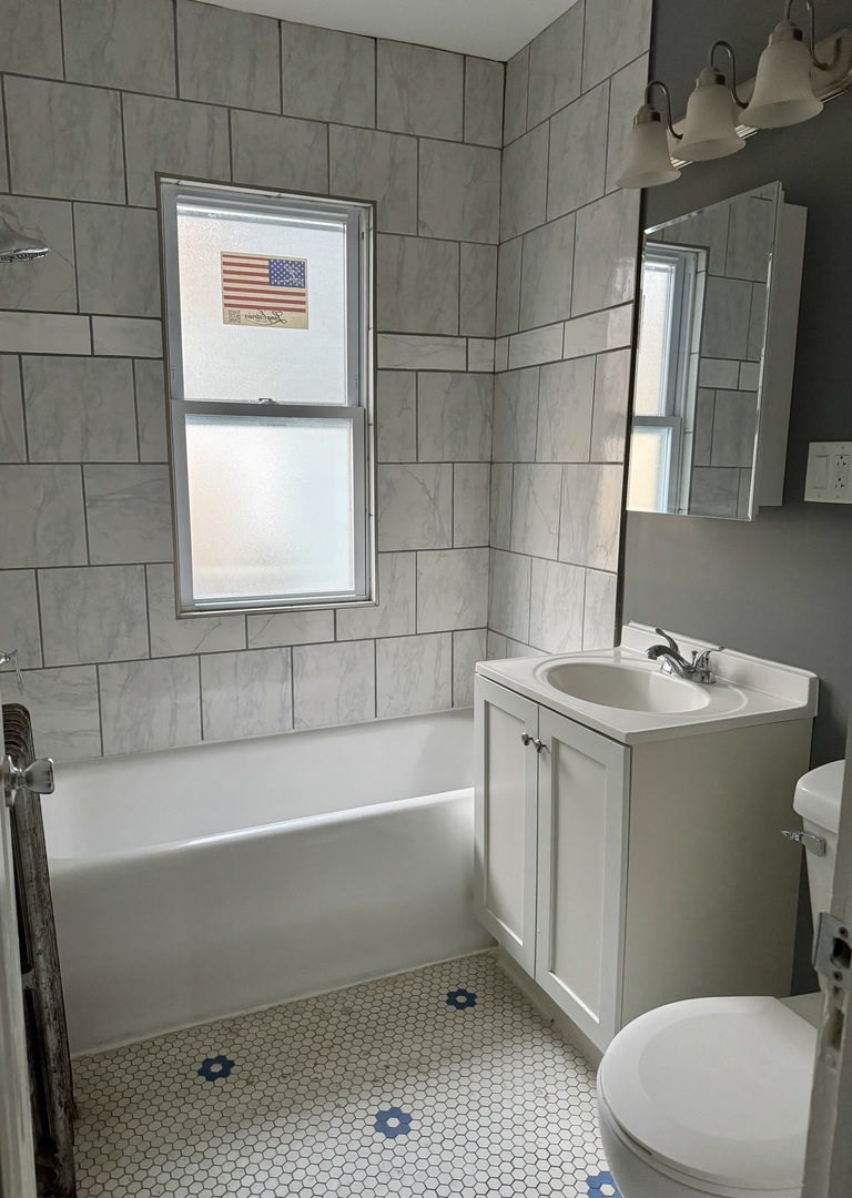 2456 W Lithuanian Plaza Court, Chicago, IL