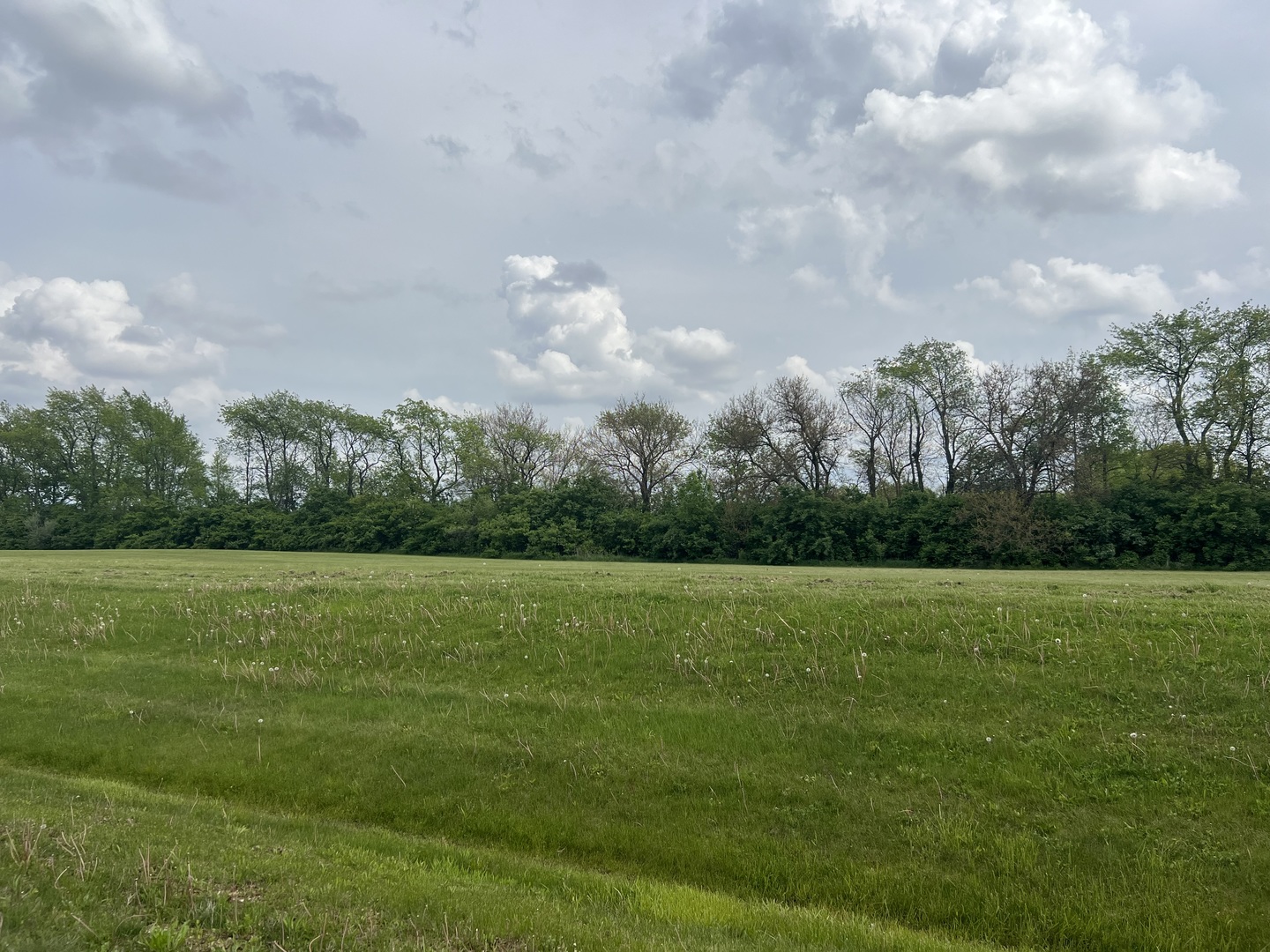 6865 W Mccampbell Drive, Monee, IL