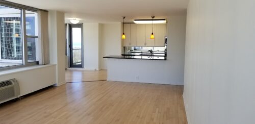 4250 N MARINE Drive #1515, Chicago, IL
