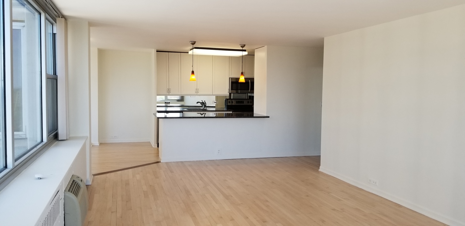 4250 N MARINE Drive #1515, Chicago, IL
