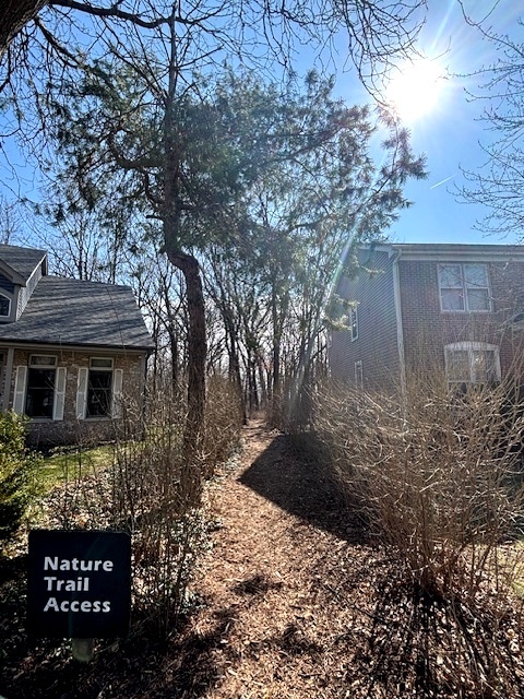 33993 N Treeline Court, Grayslake, IL