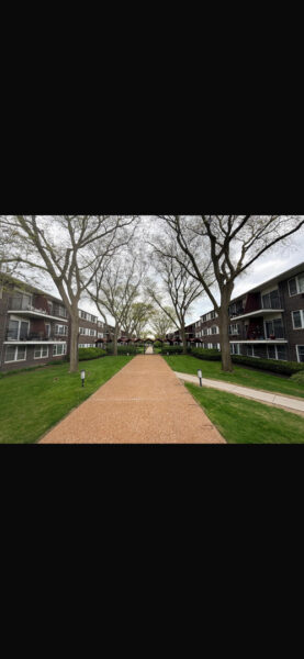 8710 Skokie Boulevard #3BS, Skokie, IL