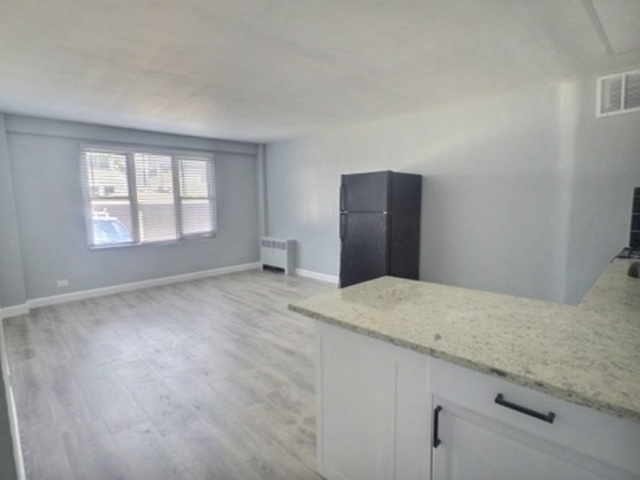 2610 W Balmoral Avenue #105, Chicago, IL