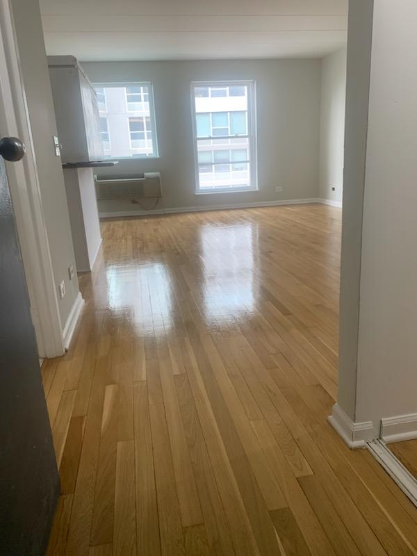 711 W Gordon Terrace #509, Chicago, IL