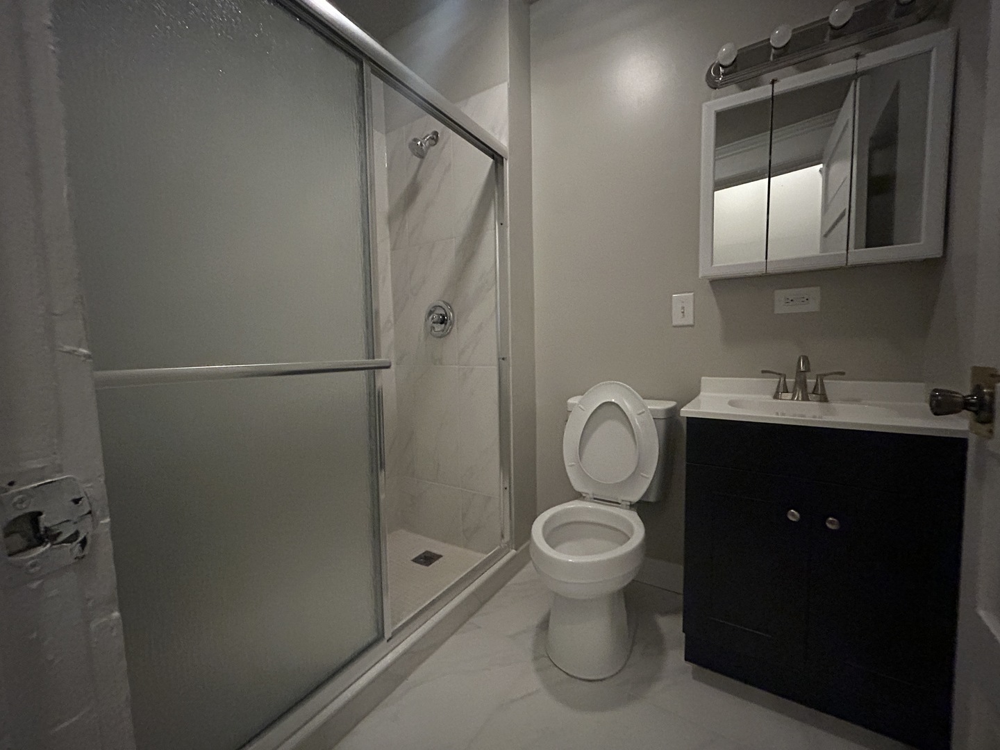 1007 S Oakley Boulevard, Chicago, IL