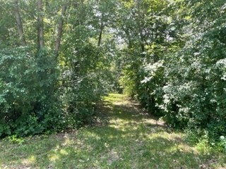 3501 Beckwith Lane, Crete, IL