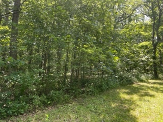 3501 Beckwith Lane, Crete, IL