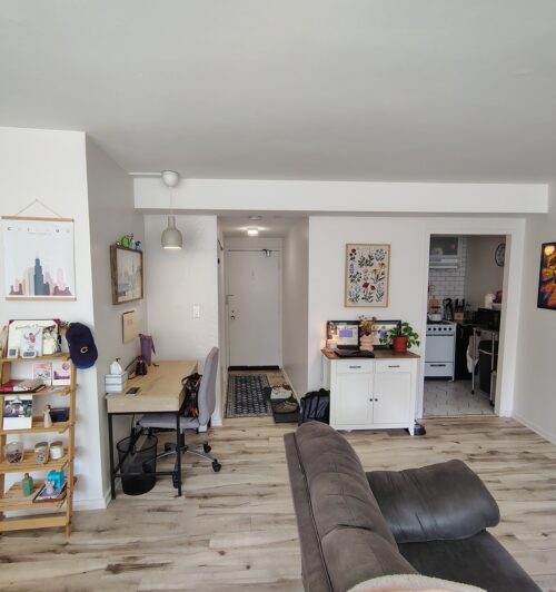 1150 N LAKE SHORE Drive #6L, Chicago, IL