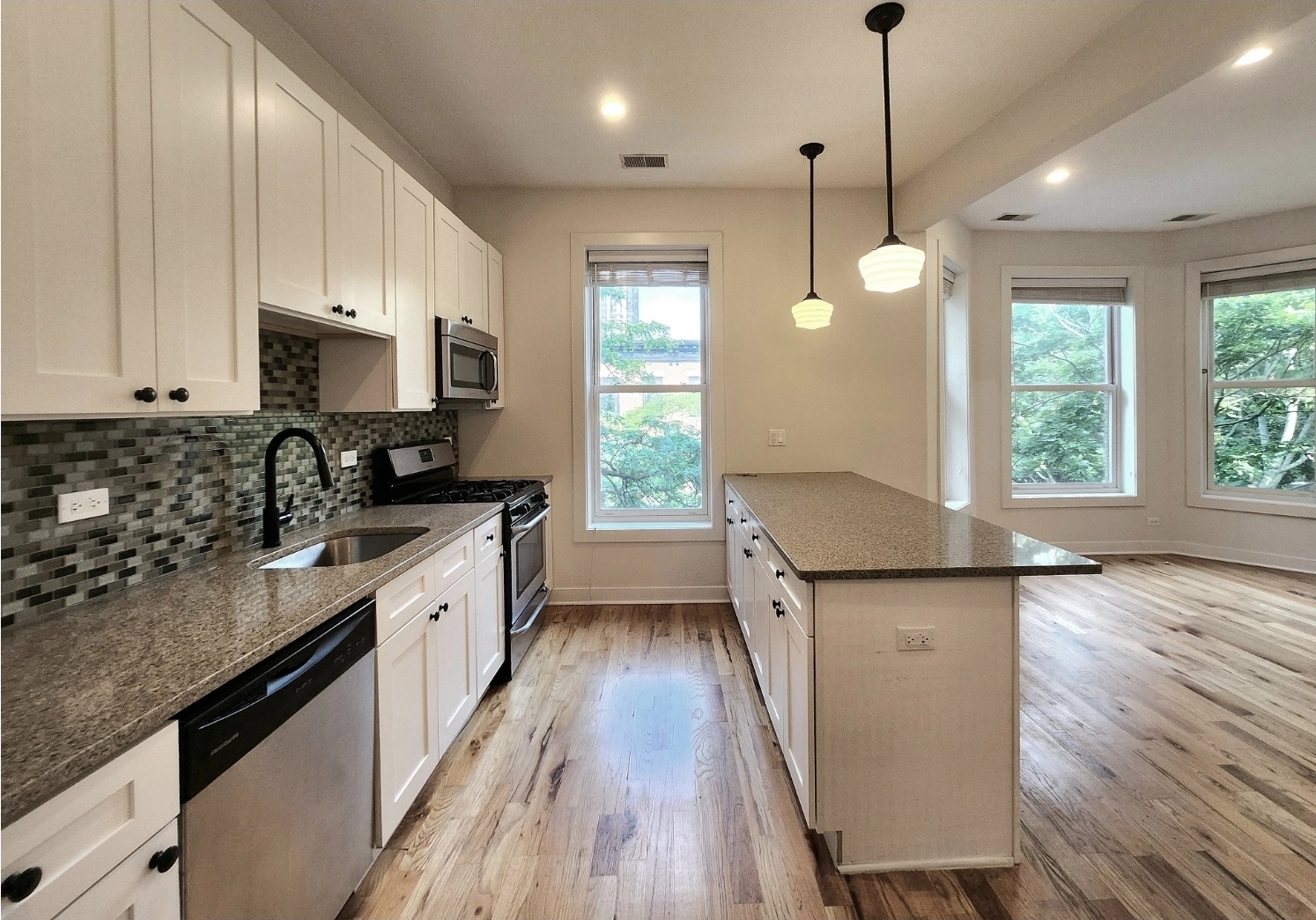 1716 N North Park Avenue #3, Chicago, IL