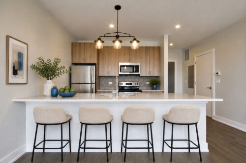 2111 S Halsted Street #201, Chicago, IL