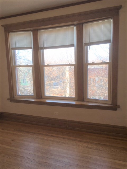 5237 N Winchester Avenue #1, Chicago, IL