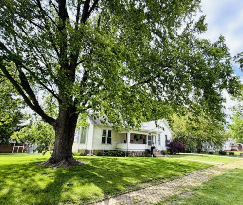 607 N Plum Street, Farmer City, IL