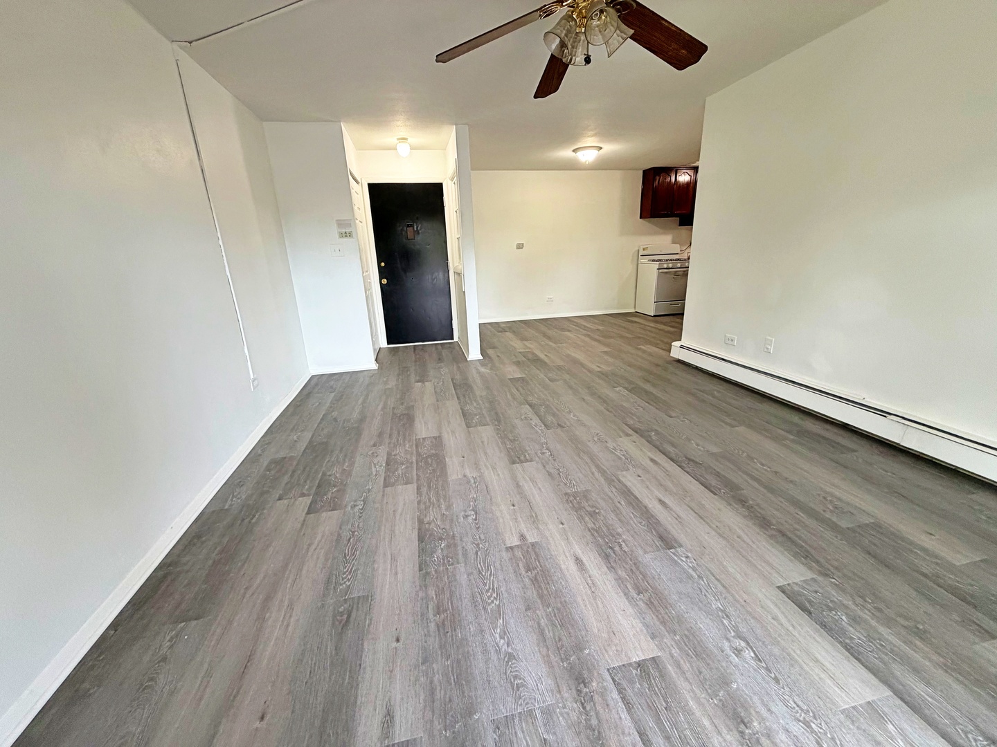 841 Blossom Lane #203, Prospect Heights, IL