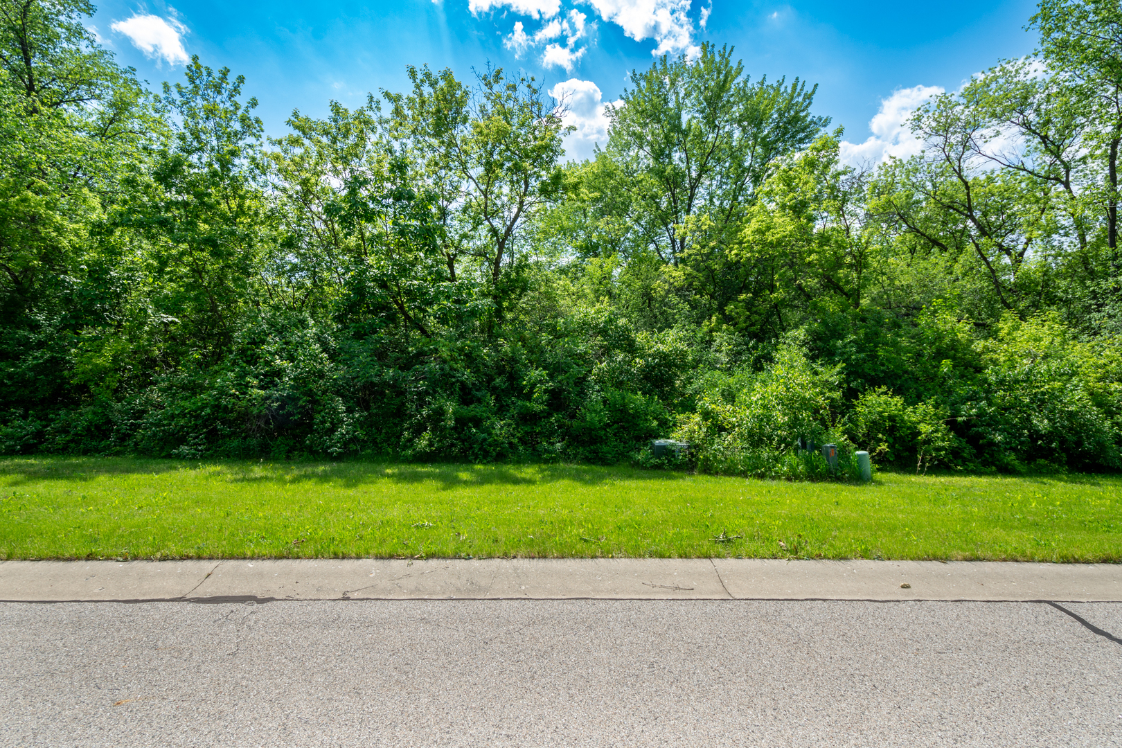 7381 English Oak Lane, Spring Grove, IL