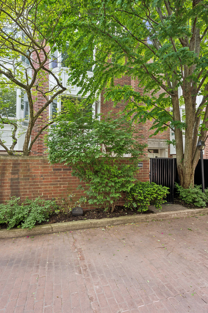 1843 N Hudson Avenue #A, Chicago, IL