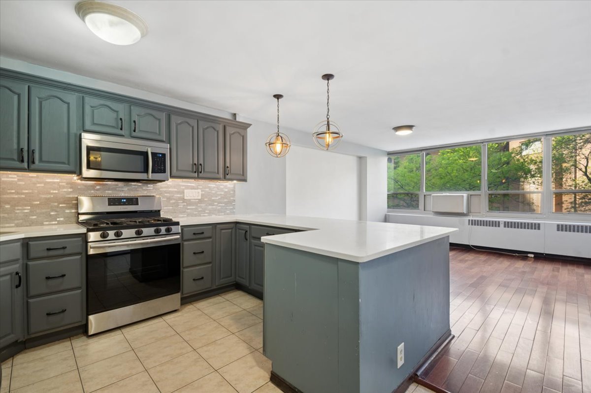 3950 N Lake Shore Drive #205A, Chicago, IL