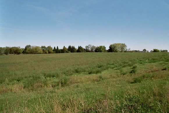 2010 Maritime Lane, Woodstock, IL
