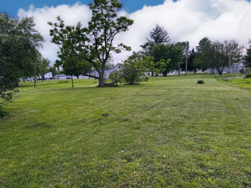 Lot 13 S Locust Street, Wenona, IL