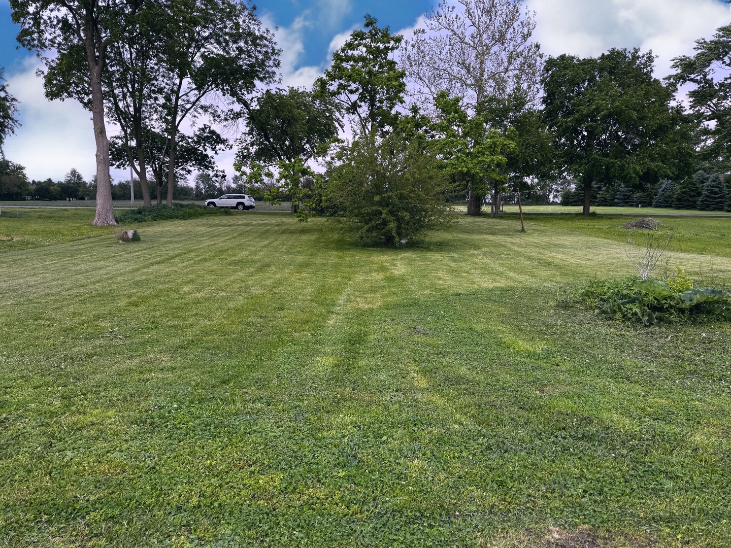 Lot 13 S Locust Street, Wenona, IL