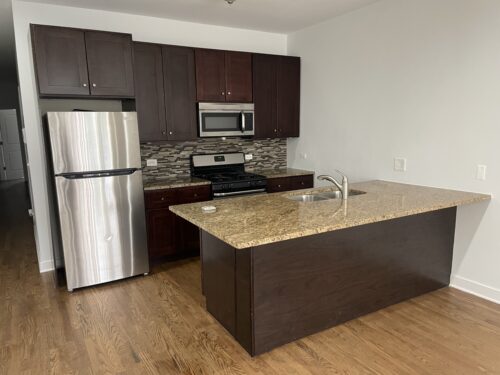 3128 W Walton Street #1, Chicago, IL