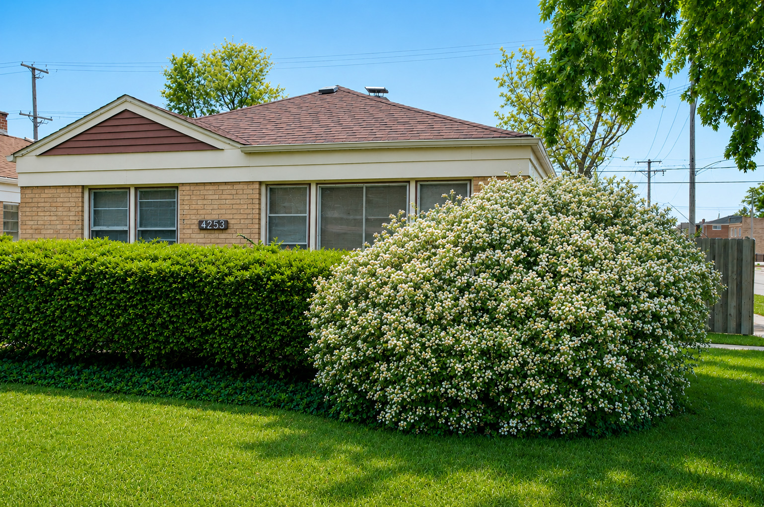 4253 Prescott Avenue, Lyons, IL