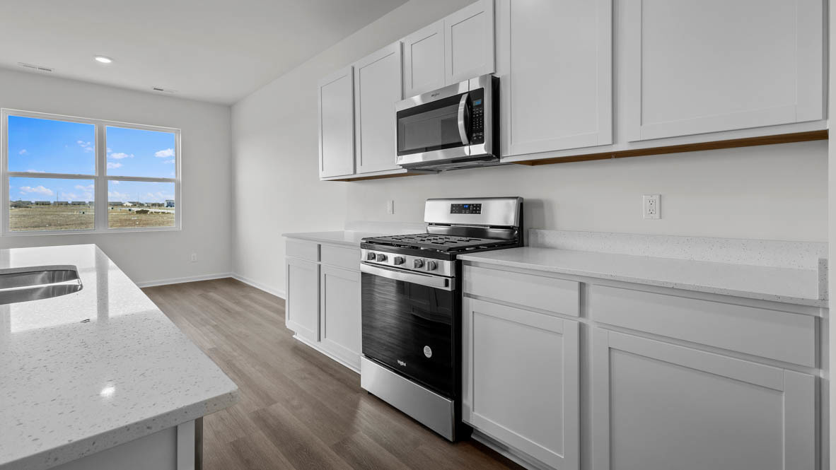 17206 Donegal Street, Tinley Park, IL