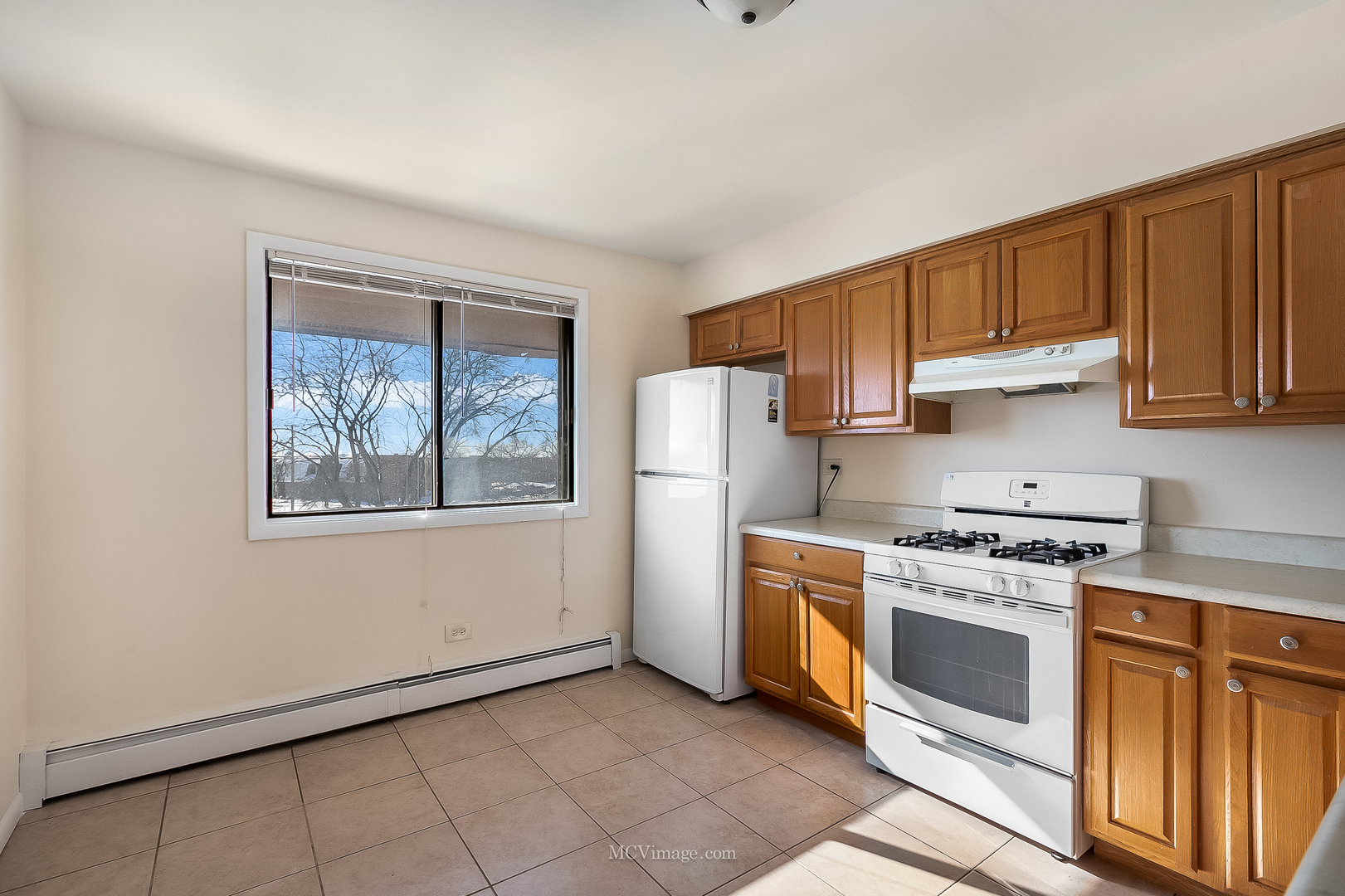 7731 Woodward Avenue #1B, Woodridge, IL
