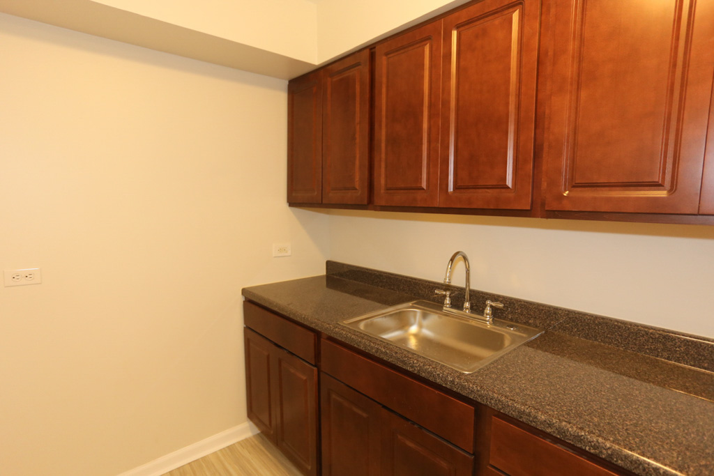 1040 W HOLLYWOOD Avenue #322, Chicago, IL