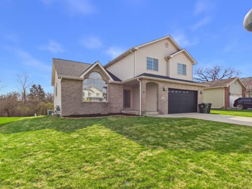 695 Cassandra Lane, University Park, IL