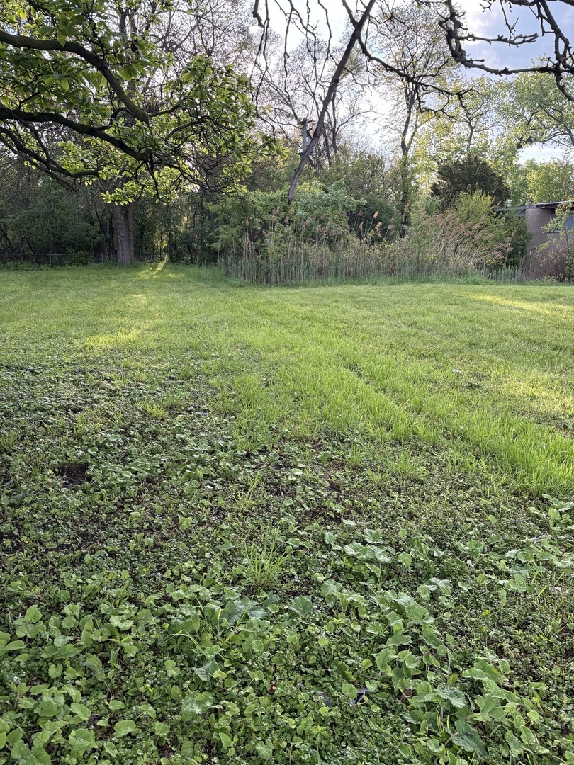 13526 S Kedzie Avenue, Robbins, IL