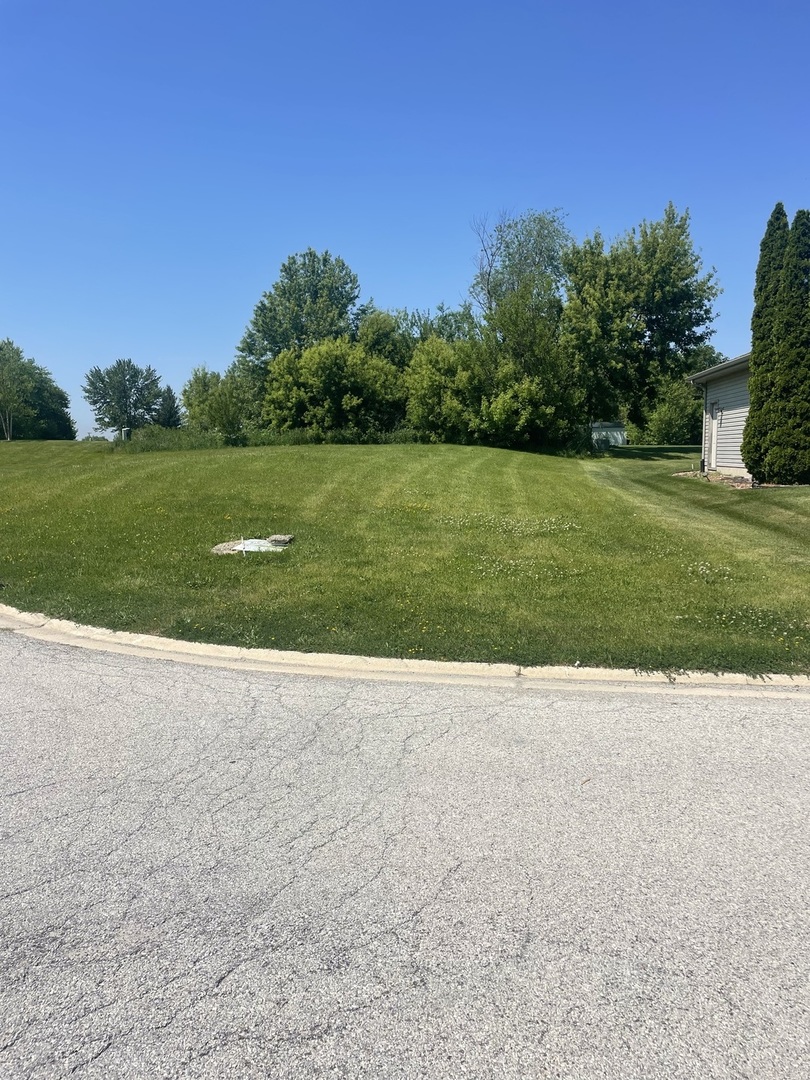 321 Pine Street, Beecher, IL