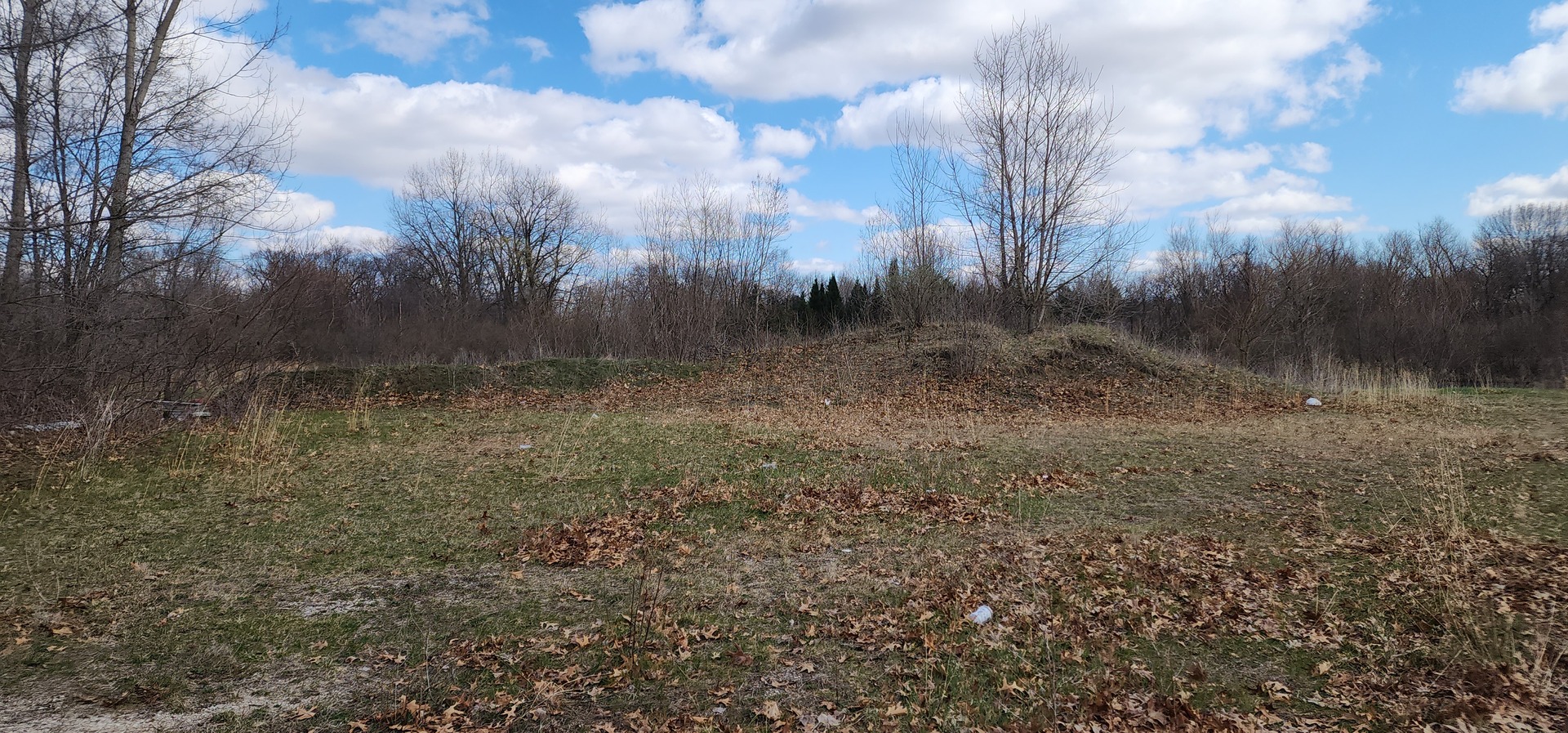 574 Caleb Road, Braidwood, IL