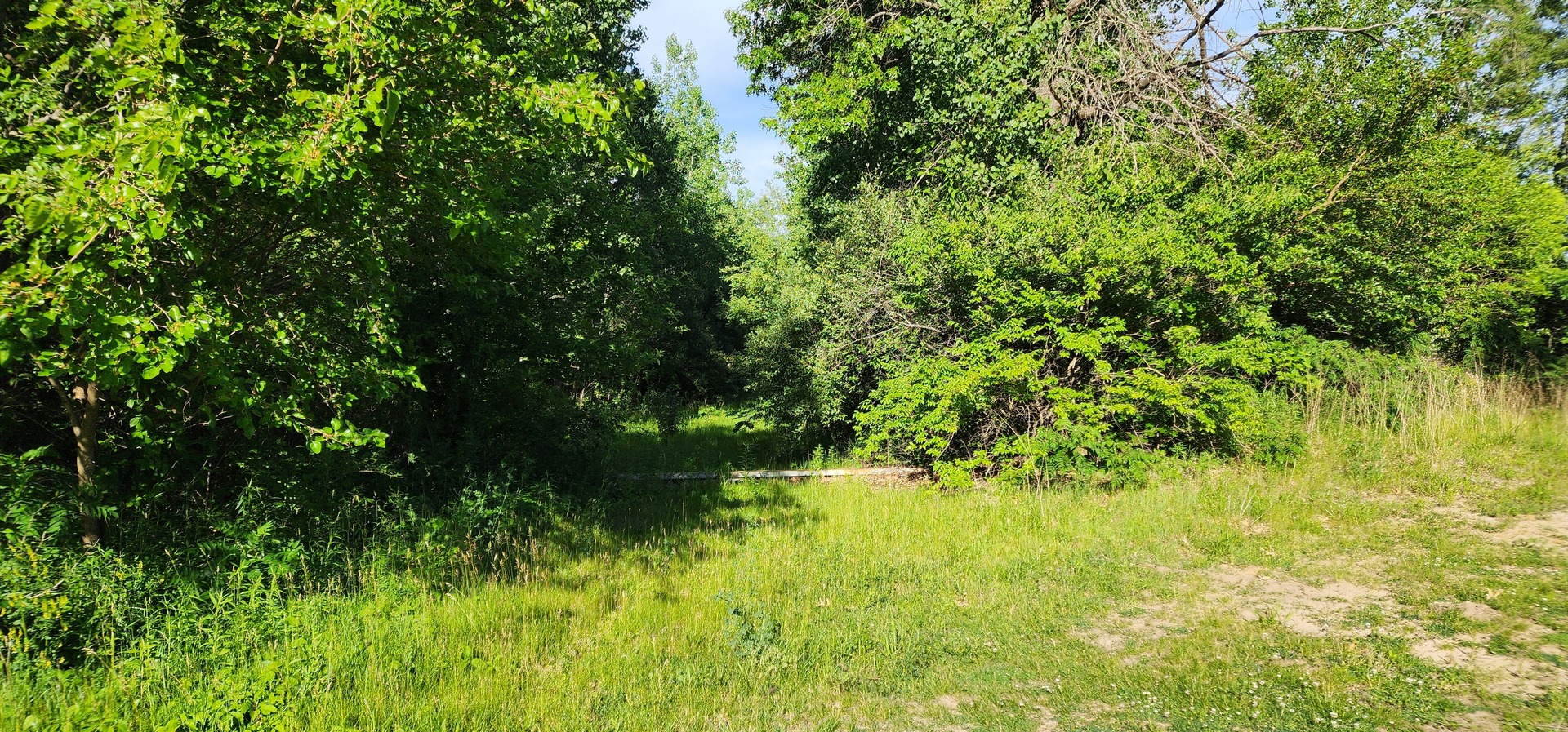 574 Caleb Road, Braidwood, IL