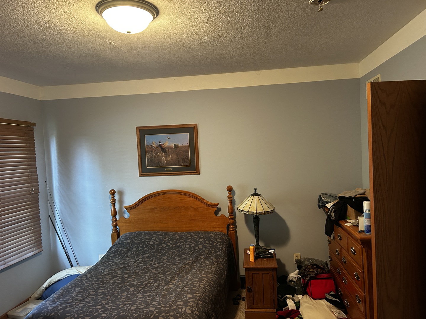 125 W 1st Street, Braidwood, IL