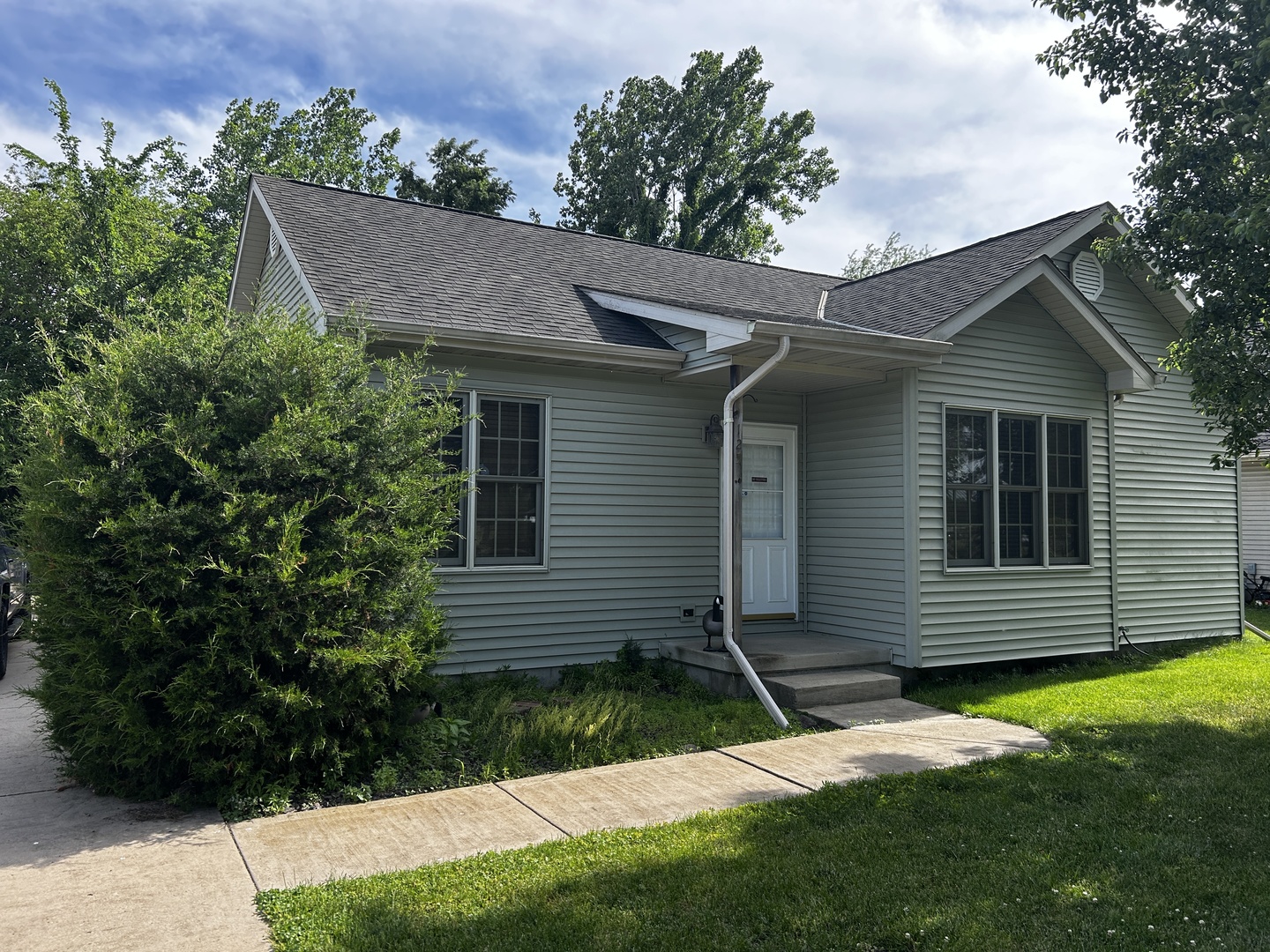 125 W 1st Street, Braidwood, IL