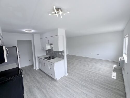 8649 W Foster Avenue, Chicago, IL
