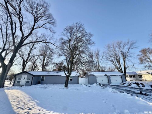 106 E Beeson Street, Joy, IL
