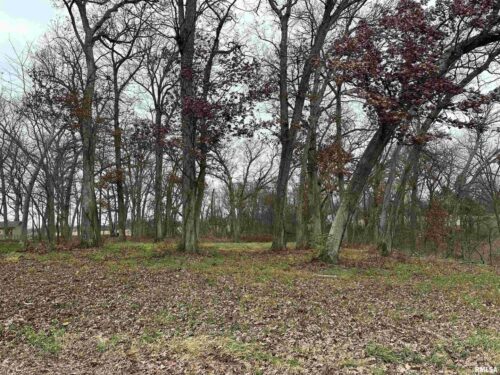 5216 227th Street Court, Port Byron, IL