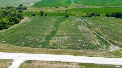2659 Olof Krans Avenue, Galva, IL