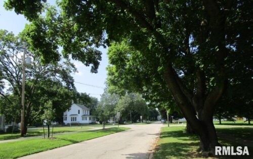504 N COLLEGE Avenue, Aledo, IL