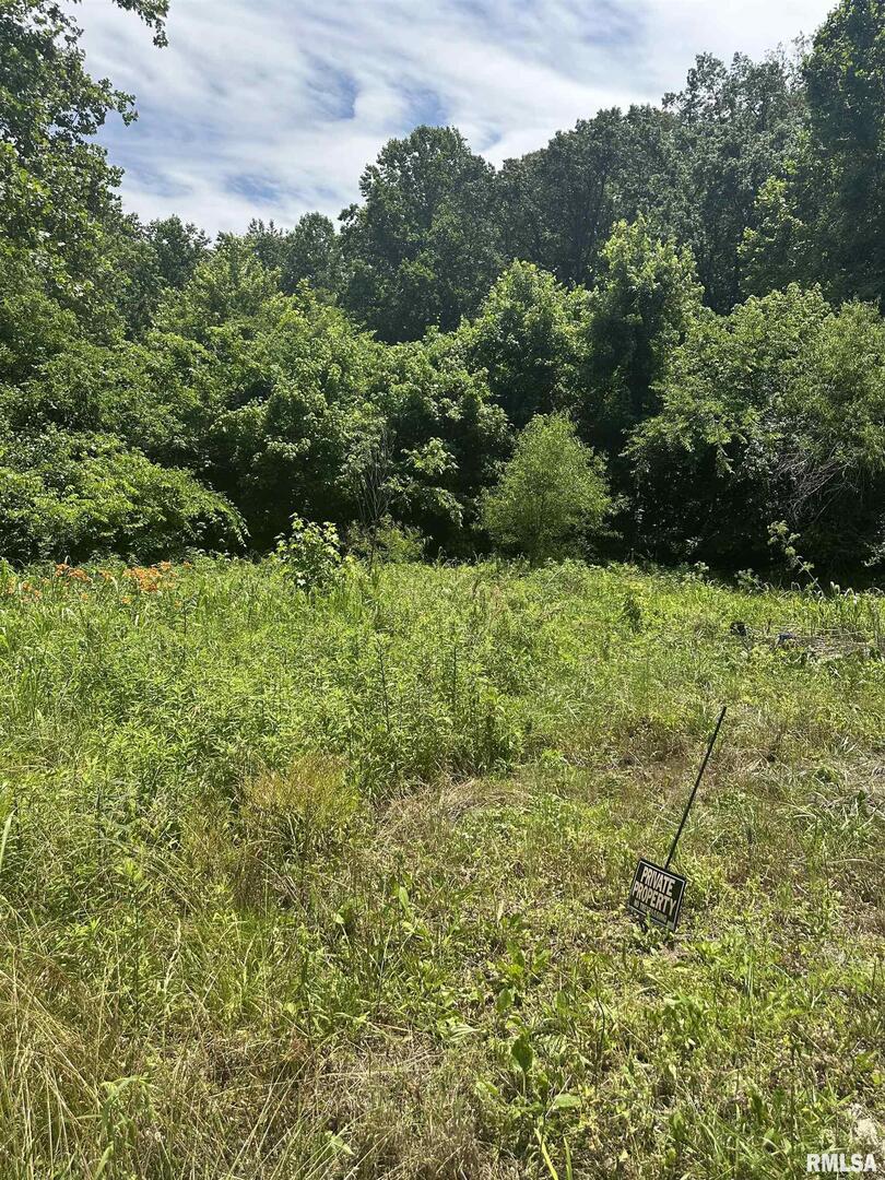 585 Berryville Road, Jonesboro, IL