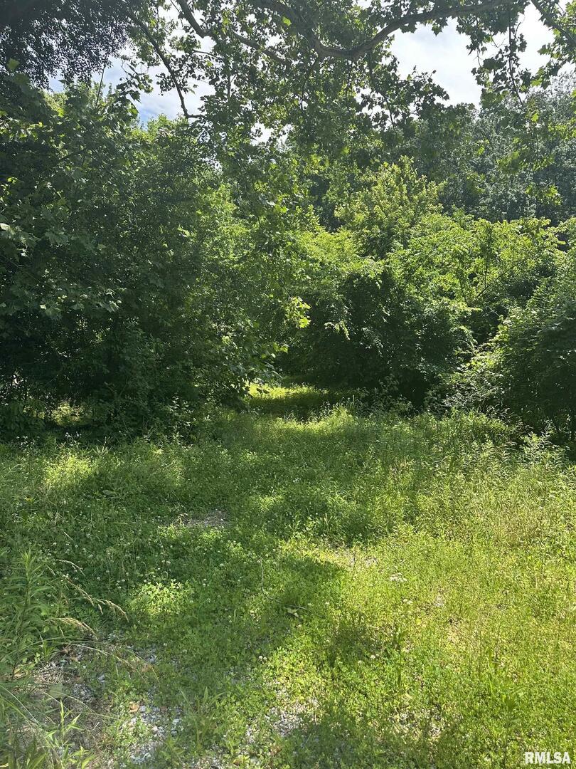585 Berryville Road, Jonesboro, IL