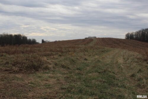 0000 Bruce Johnson Road, Herod, IL