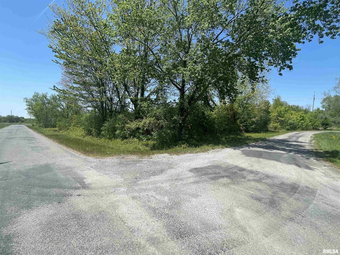 tbd San Diego Street, Cartervill, IL